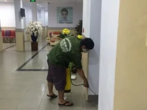 Công Ty TNHH TM & DV Thuyên Phương