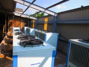 Kho Lạnh Công Nghiệp Diên An – Công Ty TNHH Diên An