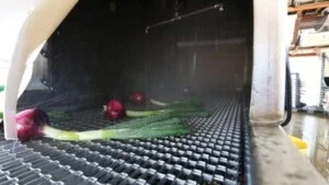 Công Ty TNHH Cơ Khí Ánh Sáng