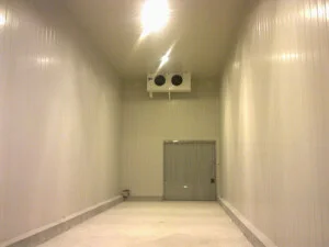 Chi Nhánh Công Ty Cổ Phần Điện Lạnh Công Nghiệp Thái Ngọc Tuấn