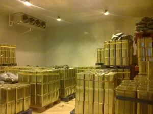 Chi Nhánh Công Ty Cổ Phần Điện Lạnh Công Nghiệp Thái Ngọc Tuấn