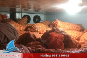 Kho Lạnh Emmanuel – Công Ty CP Công Nghiệp Lạnh Emmanuel