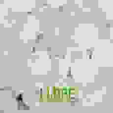 Công Ty TNHH Hưng Nghiệp Phú Thành