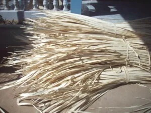 Công Ty TNHH Xuất Nhập Khẩu Và Dịch Vụ Hồng Phát