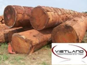 Công Ty Cổ Phần Sản Xuất và XNK Vietland