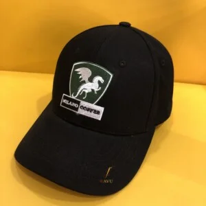 Chi Nhánh Hà Nội – Công Ty TNHH Wavu