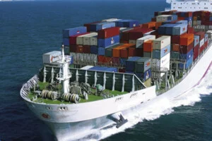 Vận Chuyển Tân Hoàng Minh – Công Ty TNHH Tiếp Vận Quốc Tế Tân Hoàng Minh