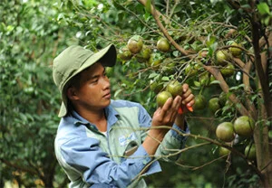 Unifarm – Công Ty CP Nông Nghiệp U&I