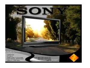 Công Ty TNHH Đông Quang