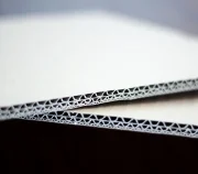 Thùng Carton Thành Tân Tiến – Công Ty Cổ Phần Thành Tân Tiến