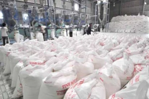 Tinh Bột IFD STARCH – Công Ty TNHH Tư Vấn Và Đầu Tư I.F.D Group