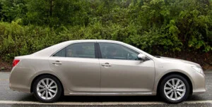 Doanh Nghiệp Tư Nhân Vy Vy