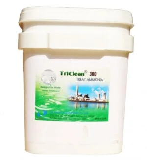 Men Vi Sinh TriClean – Công Ty TNHH Quốc Tế Cát Dương