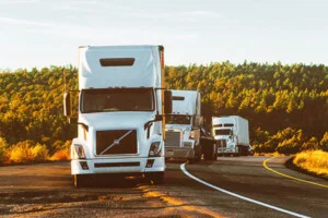OP Logistics – Công Ty TNHH Ngọc Đại Dương