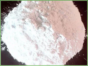 Công Ty Cổ Phần 299 Việt Nam