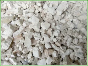 Công Ty Cổ Phần 299 Việt Nam