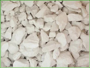 Công Ty Cổ Phần 299 Việt Nam