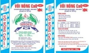 Công Ty TNHH Một Thành Viên Khai Thác Sản Xuất Thương Mại Dịch Vụ Vận Tải XNK Khương Nam Việt