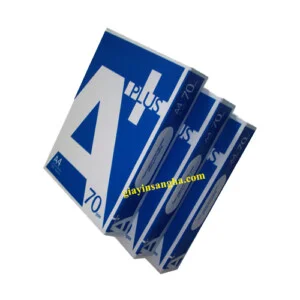 Công Ty TNHH Thương Mại Và Dịch Vụ Sang Hà