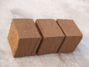 Thức Ăn Chăn Nuôi Đại Phước Lộc – Công Ty Cổ Phần Thương Mại Đại Phước Lộc