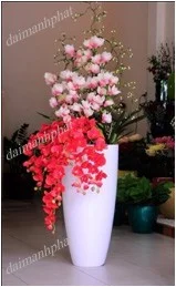 Công Ty TNHH Sản Xuất – Thương Mại – Dịch Vụ Đại Mạnh Phát