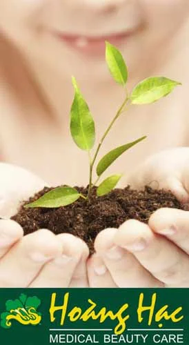 Thẩm Mỹ Viện Hoàng Hạc – Công Ty TNHH Sản Xuất Thương Mại Dịch Vụ Thẩm Mỹ Hoàng Hạc