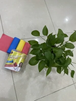 Bao Bì PE LAMGROUP.VN – Công Ty TNHH LAMGROUP.VN