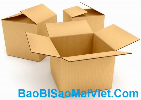Công Ty TNHH Sản Xuất Thương Mại Dịch Vụ Sao Mai Việt