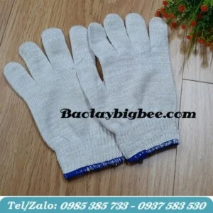 Bao Tay Thu Hồng – Công Ty TNHH Thương Mại Thu Hồng