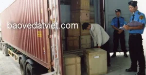 Công Ty TNHH Dịch Vụ Bảo Vệ Đất Việt – CN Cần Thơ