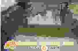 Cửa Hàng BoSuaFarm.com