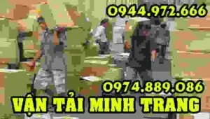 Vận Tải Hoàng Minh Trang – Công Ty TNHH Kinh Doanh Vận Tải Hoàng Minh Trang