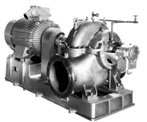 Công Ty TNHH Thương Mại Và Dịch Vụ Vinh Nguyên Phát