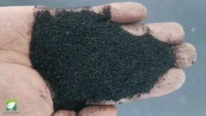 Cao Su Hà An Việt Nam – Công Ty Cổ Phần Sản Xuất, Thương Mại, Dịch Vụ, Tư Vấn, XNK Hà An Việt Nam