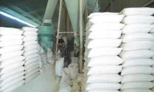 Công Ty TNHH Khoáng Sản Sơn Nam