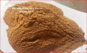 Công Ty TNHH Một Thành Viên Dũng Hậu Gia Lai