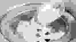 Công Ty TNHH Urentek Việt Nam