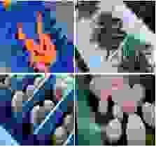 Băng Tải Lê Việt – Công Ty TNHH Thiết Bị Công Nghiệp Lê Việt