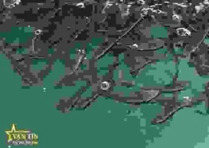 Công Ty TNHH Thủy Sản Vạn Tín