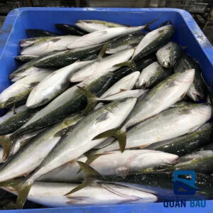 Công Ty TNHH Thương Mại Xuất Nhập Khẩu Quân Bảo