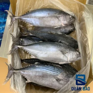Công Ty TNHH Thương Mại Xuất Nhập Khẩu Quân Bảo