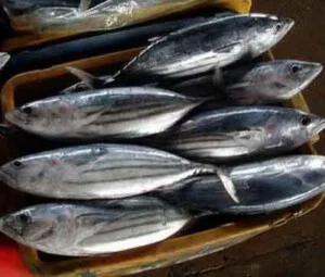 Doanh nghiệp Tư Nhân Châu Long