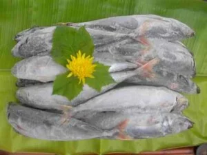 Doanh nghiệp Tư Nhân Châu Long