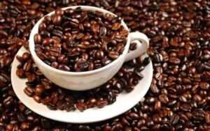 Cà Phê An Bình – Công Ty TNHH Một Thành Viên Cà Phê An Bình