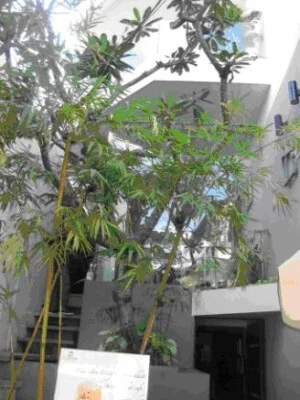 DNTN Thương Mại Xây Dựng Nội Thất Đại Phát