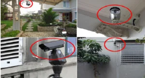 Công Ty TNHH Đầu Tư Phát Triển Công Nghệ An Ninh