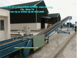 Cân Điện Tử Đông Dương – Công Ty TNHH Thương Mại Dịch Vụ Đo Lường Thiết Bị Điện Đông Dương