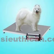 Công Ty TNHH Cân Điện Tử Toàn Cầu