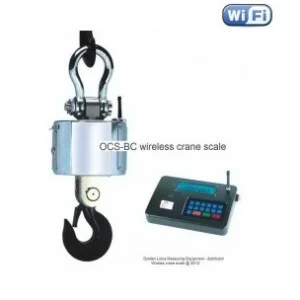 Cân Thăng Long – Công Ty TNHH Cân Điện Tử Thăng Long