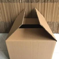 Thùng Carton Rainbox – Đại Lý Phân Phối Thùng Carton Rainbox